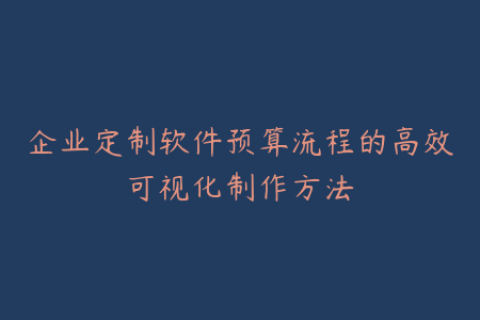 企业定制软件预算流程的高效可视化制作方法