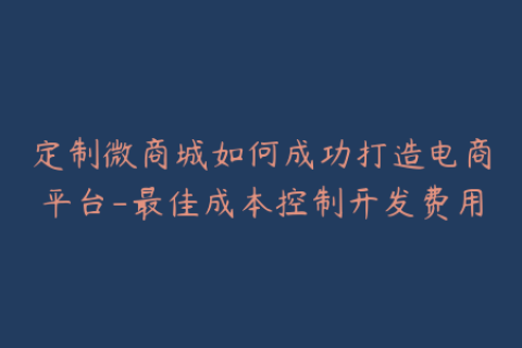 定制微商城如何成功打造电商平台-最佳成本控制开发费用