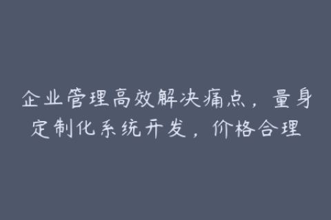 企业管理高效解决痛点，量身定制化系统开发，价格合理