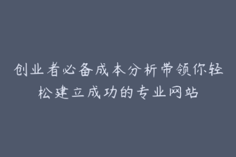 创业者必备成本分析带领你轻松建立成功的专业网站