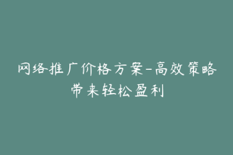 网络推广价格方案-高效策略带来轻松盈利