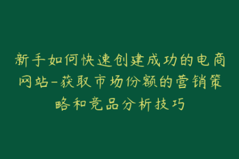 新手如何快速创建成功的电商网站-获取市场份额的营销策略和竞品分析技巧