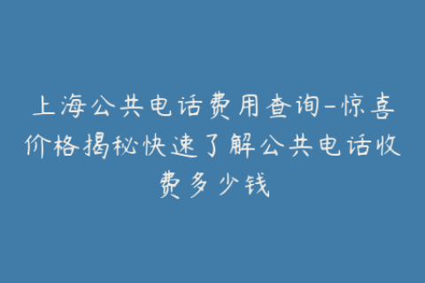 上海公共电话费用查询-惊喜价格揭秘快速了解公共电话收费多少钱