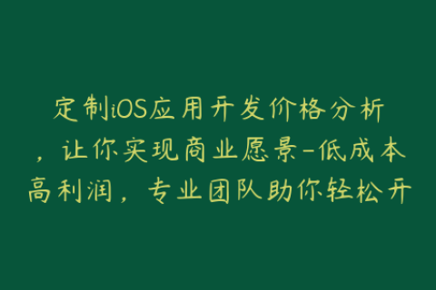 定制iOS应用开发价格分析，让你实现商业愿景-低成本高利润，专业团队助你轻松开发