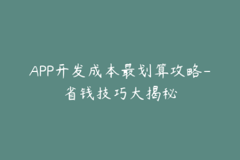 APP开发成本最划算攻略-省钱技巧大揭秘