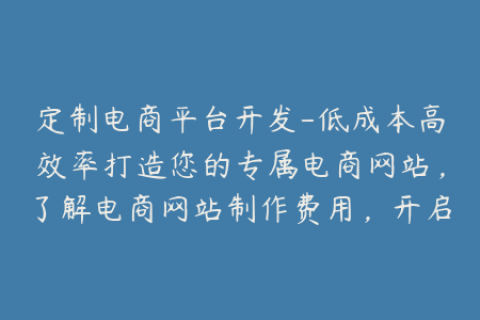定制电商平台开发-低成本高效率打造您的专属电商网站，了解电商网站制作费用，开启高赚钱模式