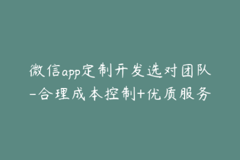 微信app定制开发选对团队-合理成本控制+优质服务
