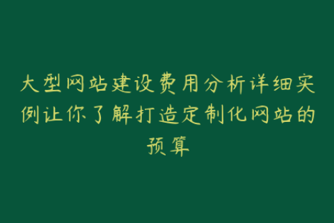 大型网站建设费用分析详细实例让你了解打造定制化网站的预算