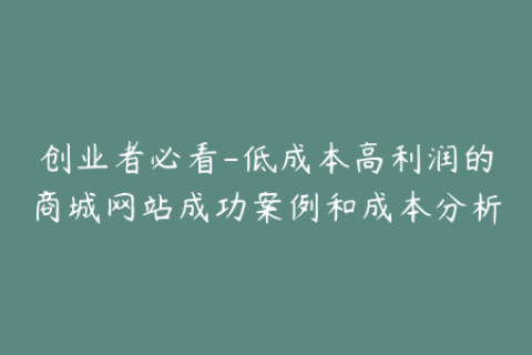 创业者必看-低成本高利润的商城网站成功案例和成本分析