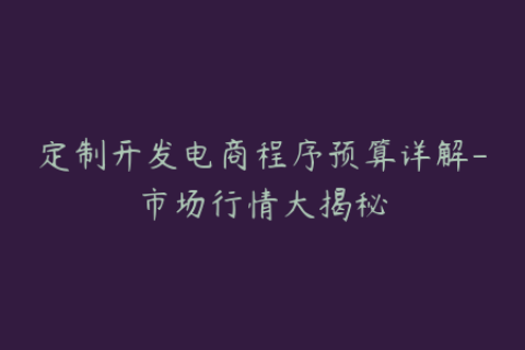 定制开发电商程序预算详解-市场行情大揭秘