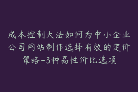 成本控制大法如何为中小企业公司网站制作选择有效的定价策略-3种高性价比选项