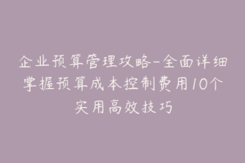 企业预算管理攻略-全面详细掌握预算成本控制费用10个实用高效技巧