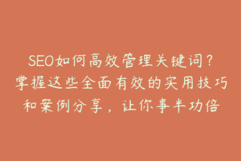 SEO如何高效管理关键词？掌握这些全面有效的实用技巧和案例分享，让你事半功倍