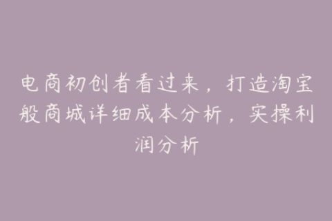 电商初创者看过来，打造淘宝般商城详细成本分析，实操利润分析