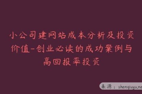 小公司建网站成本分析及投资价值-创业必读的成功案例与高回报率投资