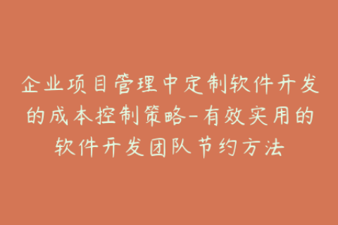 企业项目管理中定制软件开发的成本控制策略-有效实用的软件开发团队节约方法