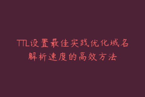 TTL设置最佳实践优化域名解析速度的高效方法