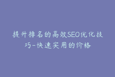 提升排名的高效SEO优化技巧-快速实用的价格