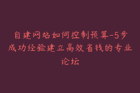 自建网站如何控制预算-5步成功经验建立高效省钱的专业论坛