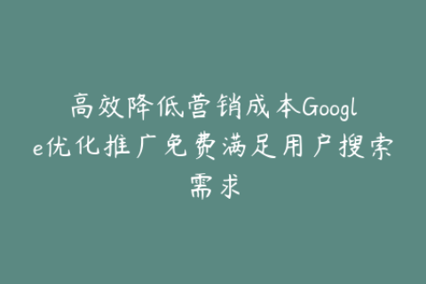 高效降低营销成本Google优化推广免费满足用户搜索需求