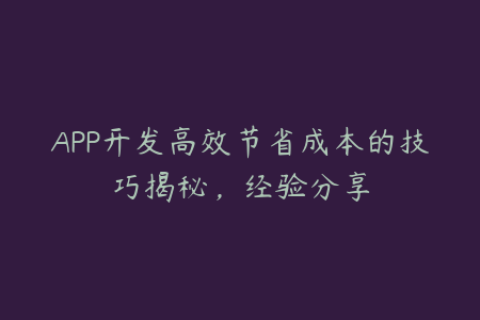 APP开发高效节省成本的技巧揭秘，经验分享