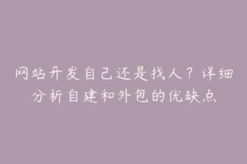 网站开发自己还是找人？详细分析自建和外包的优缺点