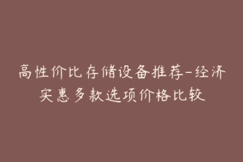 高性价比存储设备推荐-经济实惠多款选项价格比较