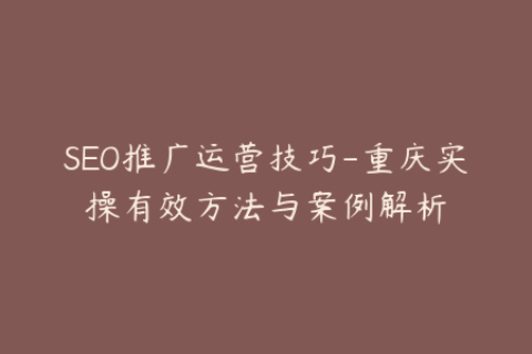 SEO推广运营技巧-重庆实操有效方法与案例解析