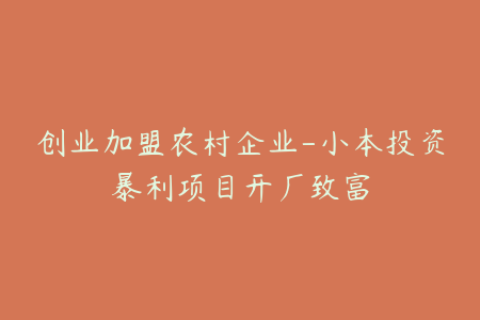 创业加盟农村企业-小本投资暴利项目开厂致富