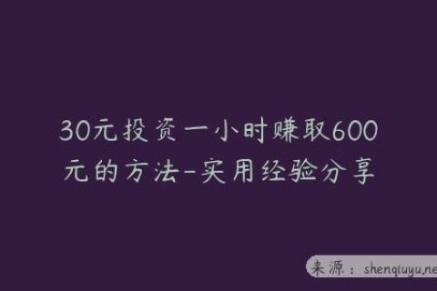 30元投资一小时赚取600元的方法-实用经验分享