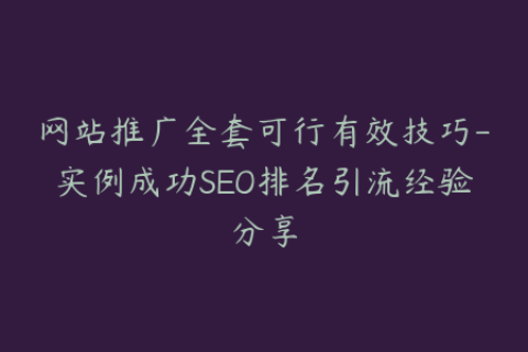 网站推广全套可行有效技巧-实例成功SEO排名引流经验分享