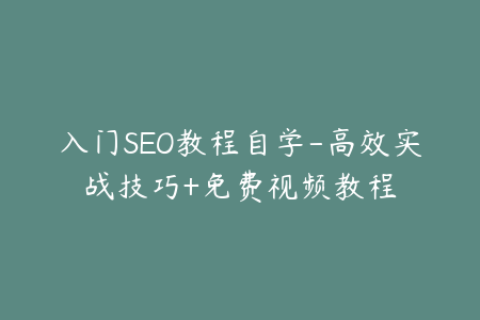 入门SEO教程自学-高效实战技巧+免费视频教程