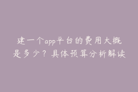 建一个app平台的费用大概是多少？具体预算分析解读