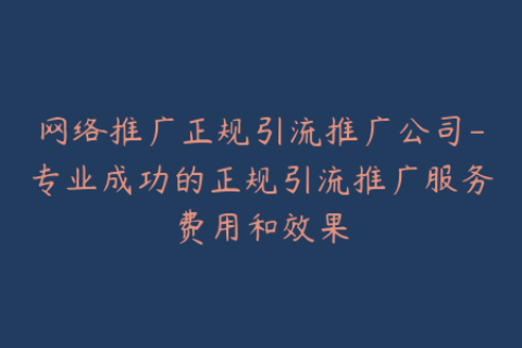 网络推广正规引流推广公司-专业成功的正规引流推广服务费用和效果