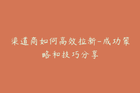 渠道商如何高效拉新-成功策略和技巧分享