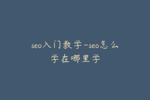 seo入门教学-seo怎么学在哪里学