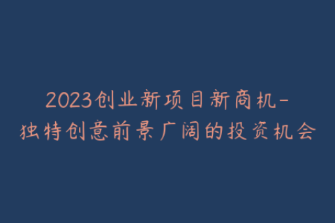 2023创业新项目新商机-独特创意前景广阔的投资机会