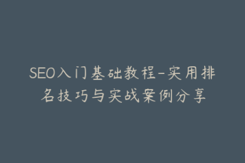 SEO入门基础教程-实用排名技巧与实战案例分享