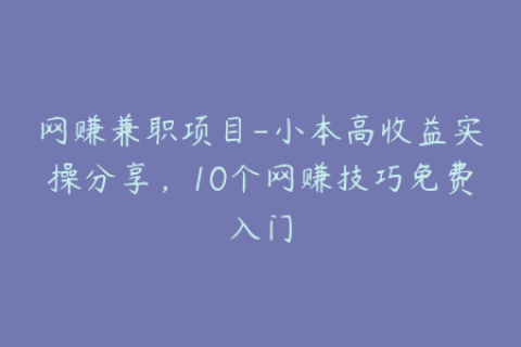 网赚兼职项目-小本高收益实操分享，10个网赚技巧免费入门