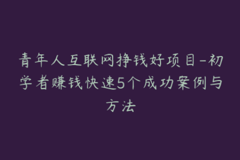 青年人互联网挣钱好项目-初学者赚钱快速5个成功案例与方法