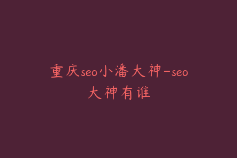 重庆seo小潘大神-seo大神有谁
