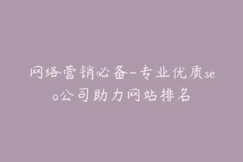 网络营销必备-专业优质seo公司助力网站排名