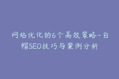 网站优化的6个高效策略-白帽SEO技巧与案例分析