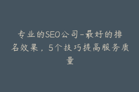 专业的SEO公司-最好的排名效果，5个技巧提高服务质量
