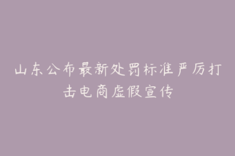山东公布最新处罚标准严厉打击电商虚假宣传