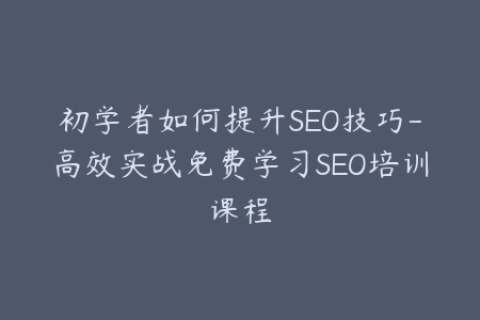 初学者如何提升SEO技巧-高效实战免费学习SEO培训课程