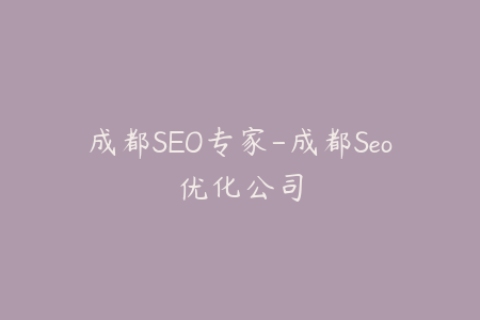 成都SEO专家-成都Seo优化公司