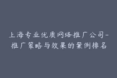 上海专业优质网络推广公司-推广策略与效果的案例排名