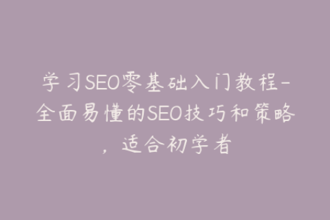 学习SEO零基础入门教程-全面易懂的SEO技巧和策略，适合初学者