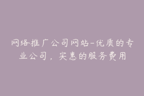 网络推广公司网站-优质的专业公司，实惠的服务费用